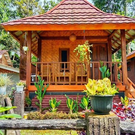Pondok Rinjani Bungalow Tetebatu Ngoại thất bức ảnh