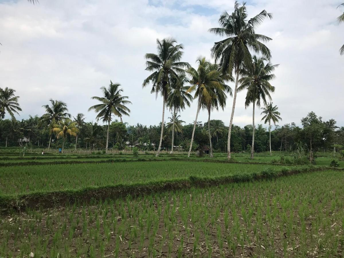 Pondok Rinjani Bungalow Tetebatu Ngoại thất bức ảnh