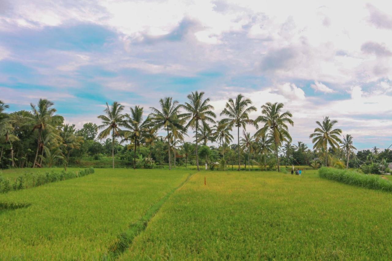 Pondok Rinjani Bungalow Tetebatu Ngoại thất bức ảnh